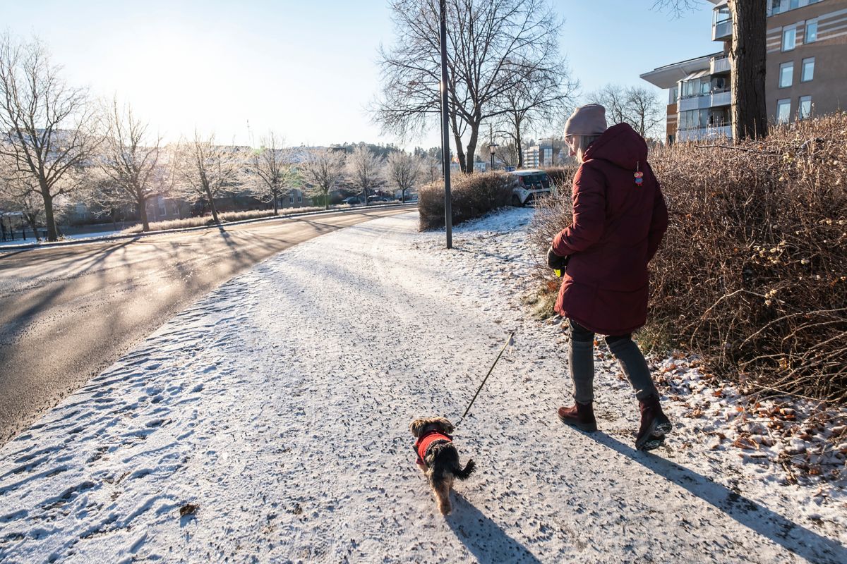 En kvinna är ute och går med en hund.